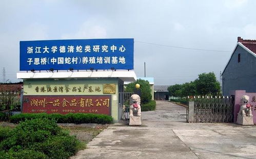 中國(guó)第一蛇村 150戶人家養(yǎng)數(shù)百萬(wàn)條蛇,為何鮮有年輕人繼承