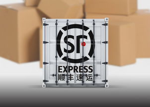 雙十一 百萬(wàn)包裹如何送達(dá) 來(lái)看各大快遞企業(yè)各施 神通